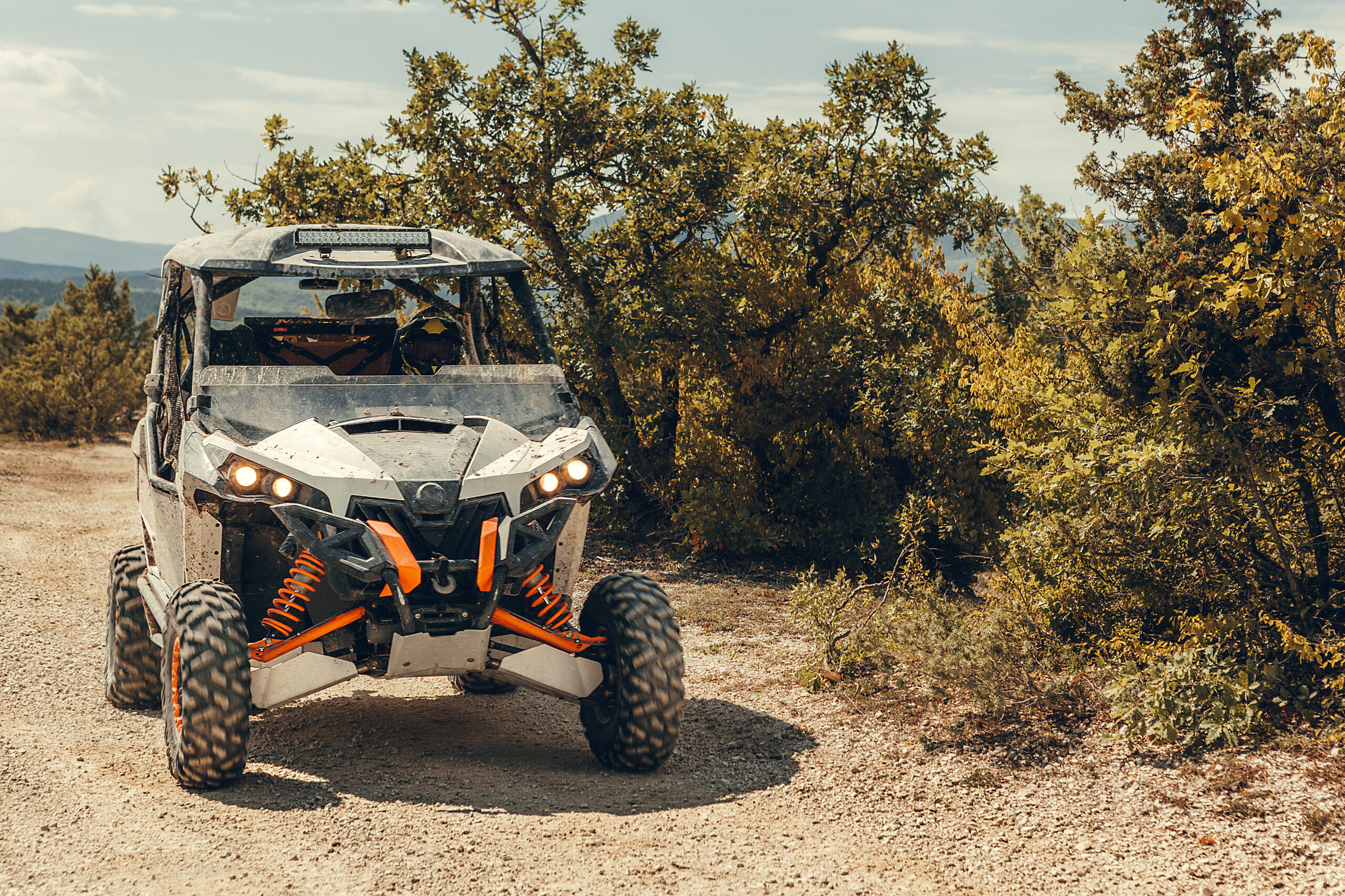 Avatar UTV Problems