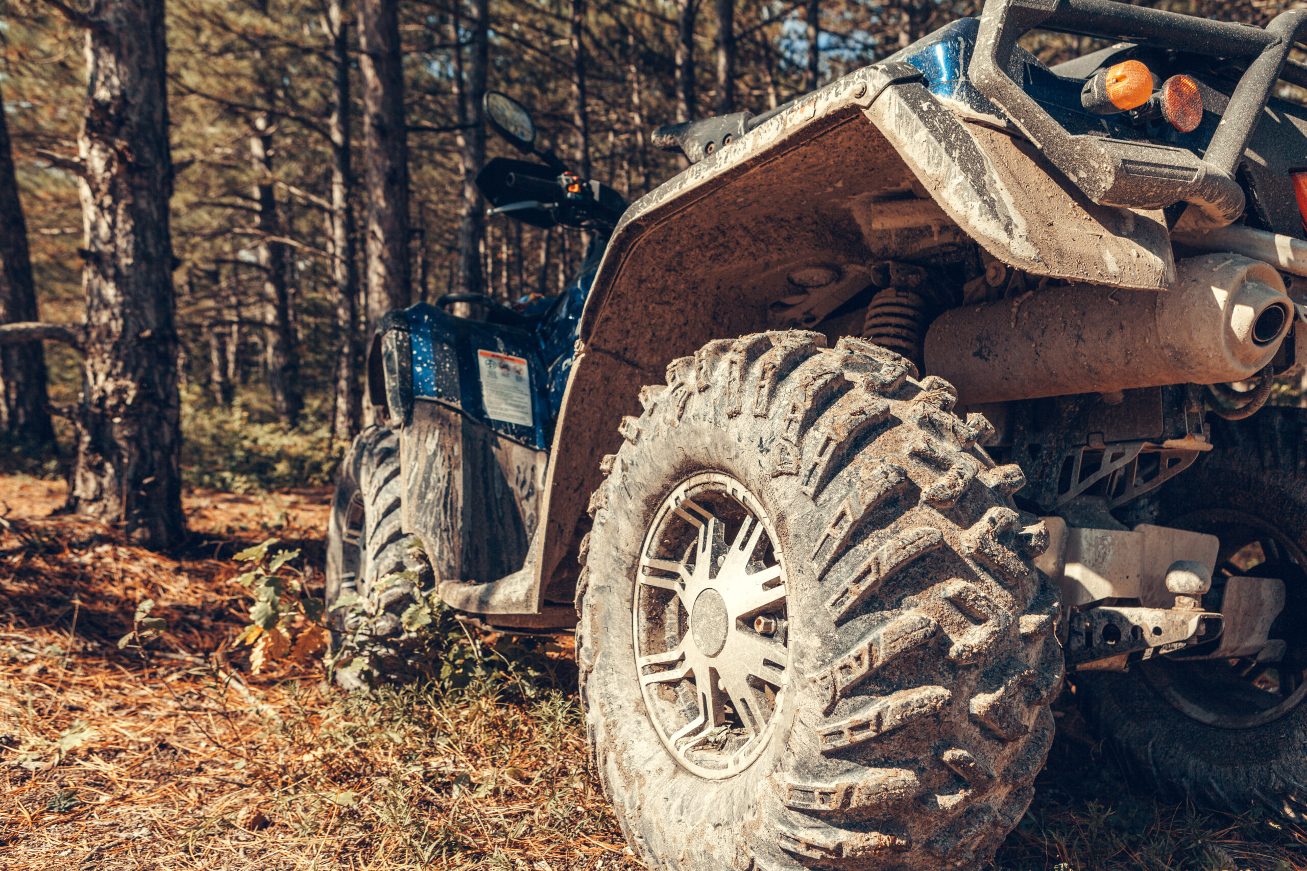 Coleman 400 UTV Problems